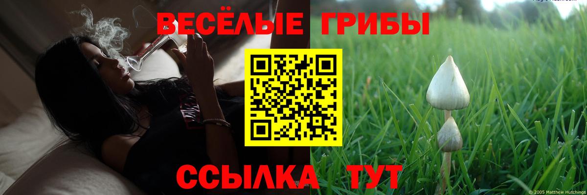 Псилоцибиновые грибы MAGIC MUSHROOMS Троицк
